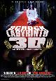 Filmposter 'Schock Labyrinth 3D'